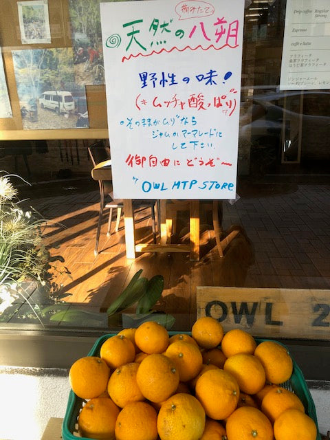 お裾分け