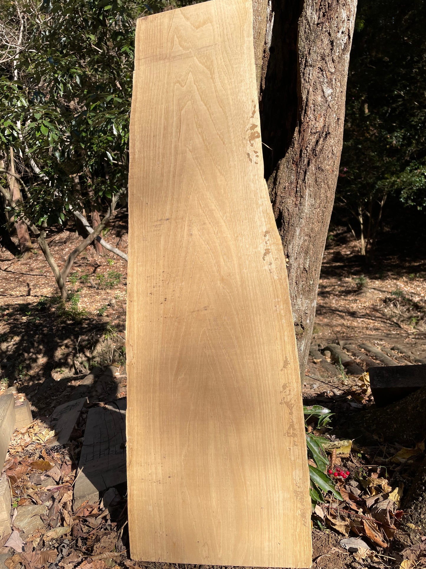 Natural Wood Board クリ・栗