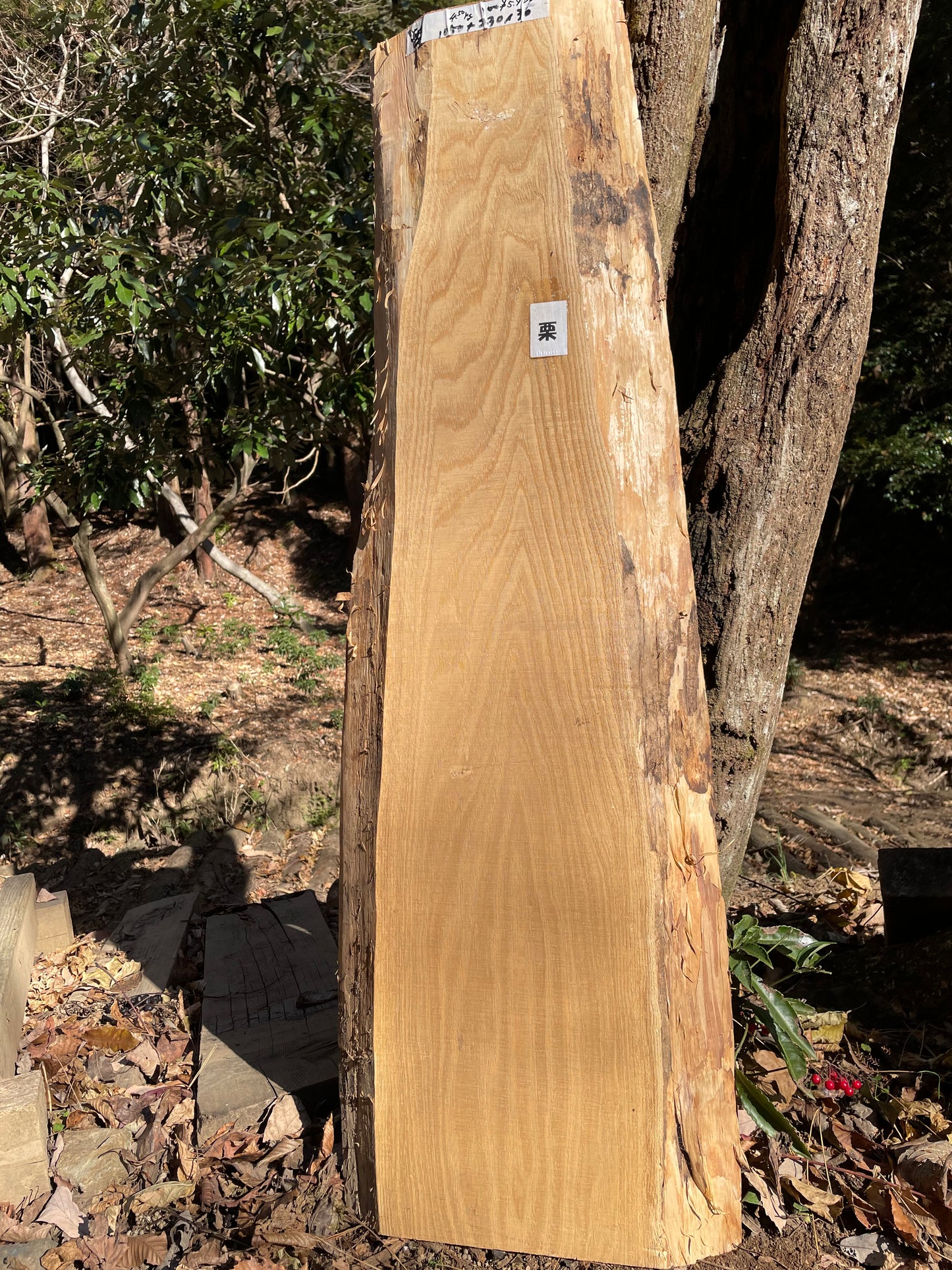 Natural Wood Board クリ・栗