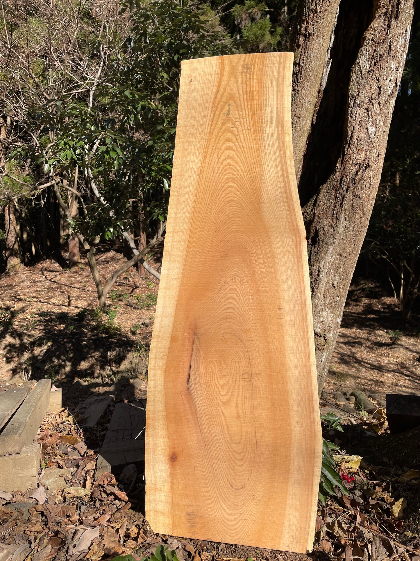 Natural Wood Board ケヤキ・欅