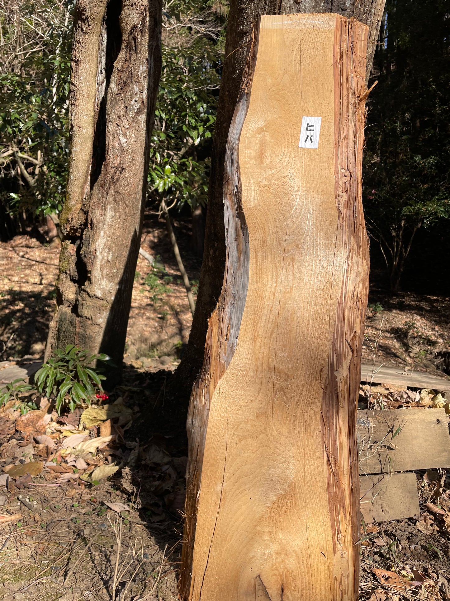 Natural Wood Board ひば