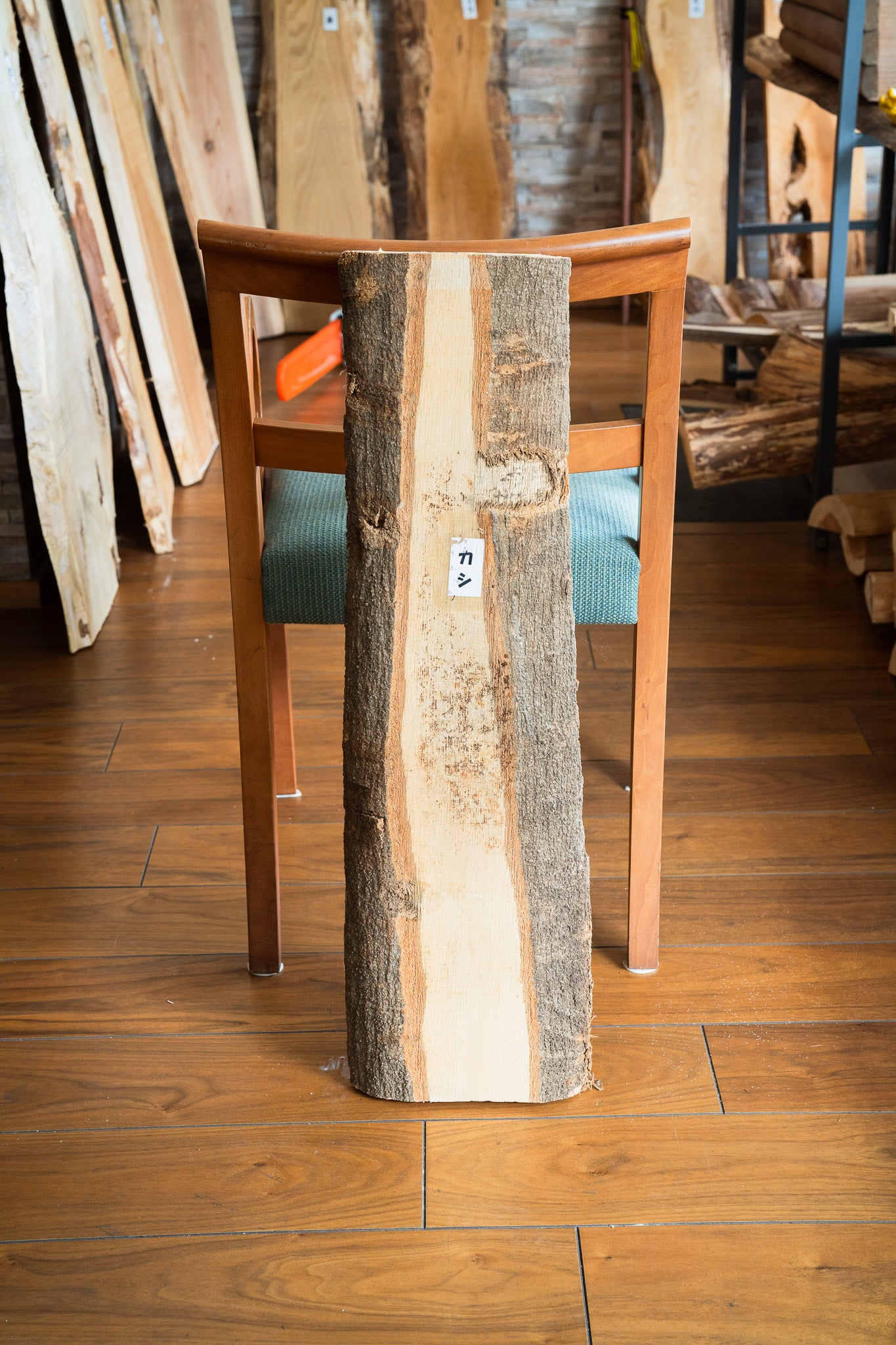 Natural Wood Board カシ