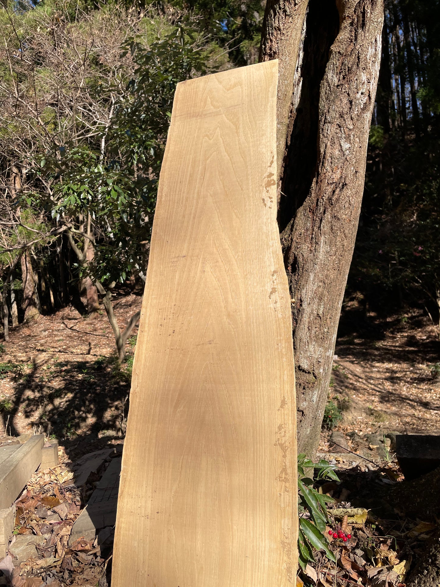 Natural Wood Board クリ・栗
