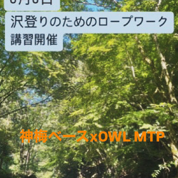 神梅ベースxOWL MTP