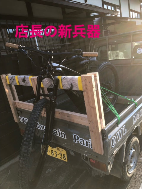 TREK e-bike