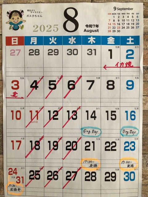 8月予定