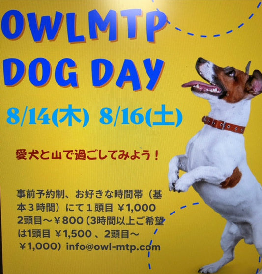 Dog Day