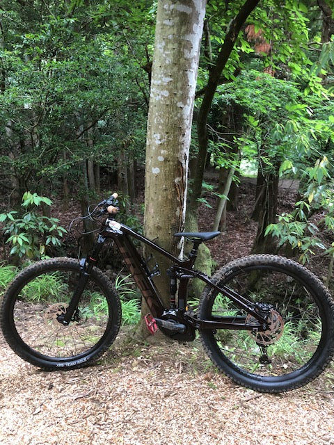 TREK e-bike 2
