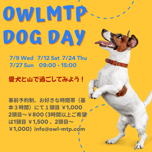Dog Day